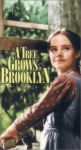 Tree Grows In Brooklyn 1945 Tree Grows In Brooklyn 1945
