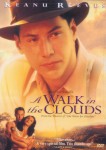 A Walk In The Clouds A Walk In The Clouds