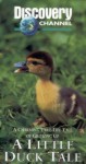 Little Duck Tale Little Duck Tale