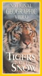 Tigers Of The Snow Tigers Of The Snow