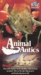 Animal Antics Winter Animal Antics Winter