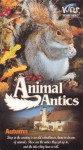 Animal Antics Autumn Animal Antics Autumn