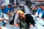 Freddy Got Fingered Freddy Got Fingered