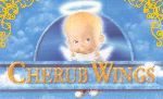 Cherub Wings: And it was So! Cherub Wings: And it was So!