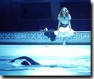 Swimfan Swimfan