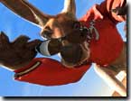 Kangaroo Jack Kangaroo Jack