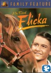 My Friend Flicka My Friend Flicka