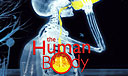 The Human Body (IMAX) The Human Body (IMAX)