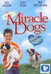 Miracle Dogs Miracle Dogs