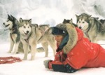 Eight Below Eight Below