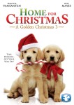 Home For Christmas (2013) Home For Christmas (2013)